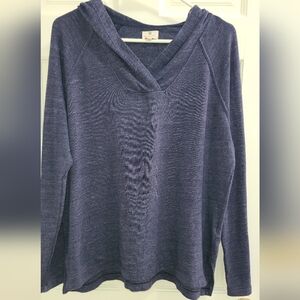 Sundry Blue Hooded Sweater